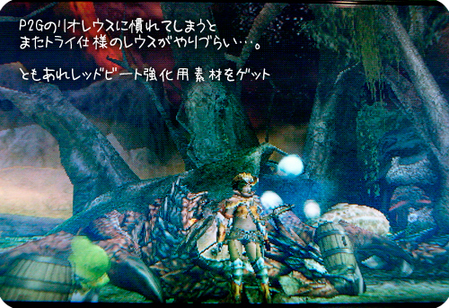 f:id:mh_alpha:20101209201120j:image