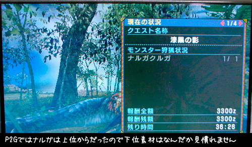 f:id:mh_alpha:20101210192048j:image