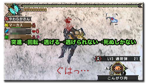 f:id:mh_alpha:20110729223915j:image