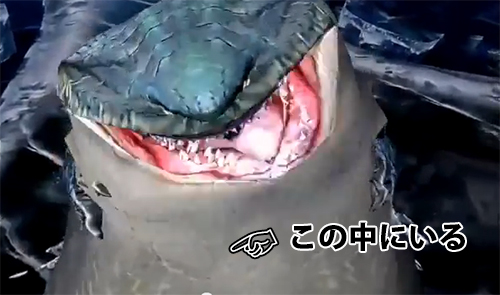 f:id:mh_alpha:20130531234137j:image