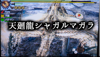 f:id:mh_alpha:20130926074015j:image