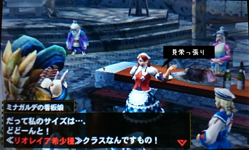 f:id:mh_alpha:20141212204017j:image