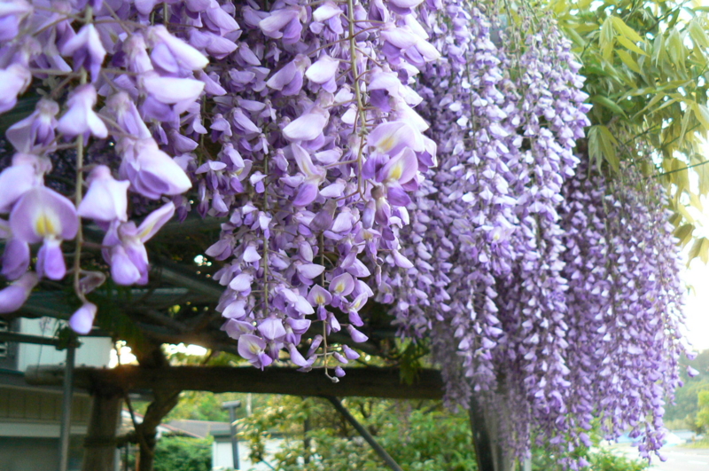 f:id:mhideo:20110508180018j:image