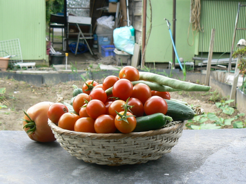 f:id:mhideo:20110702075041j:image