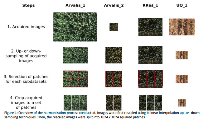 f:id:mhiro216:20200809103322p:plain