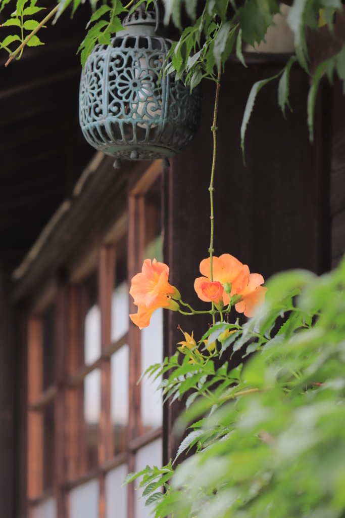 f:id:mhkj2:20180806102856j:plain f:id:mhkj2:20180806102856j:plain