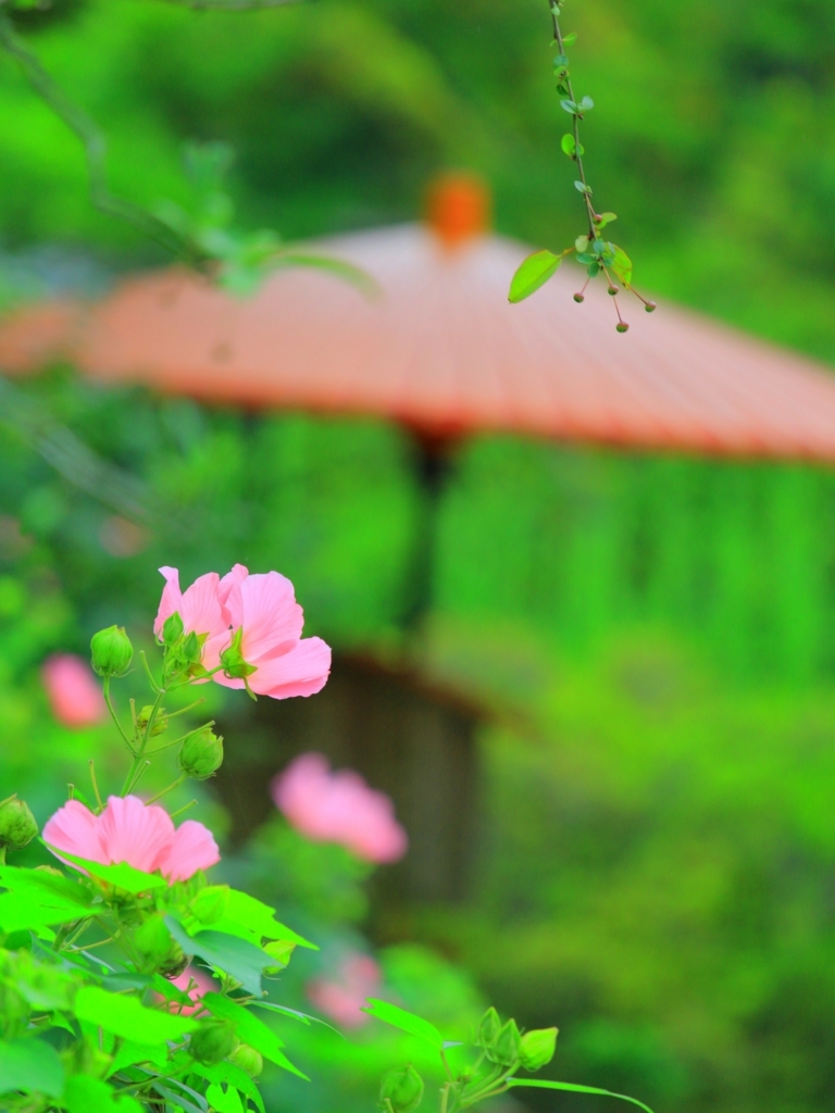 f:id:mhkj2:20180809121345j:plain f:id:mhkj2:20180809121345j:plain