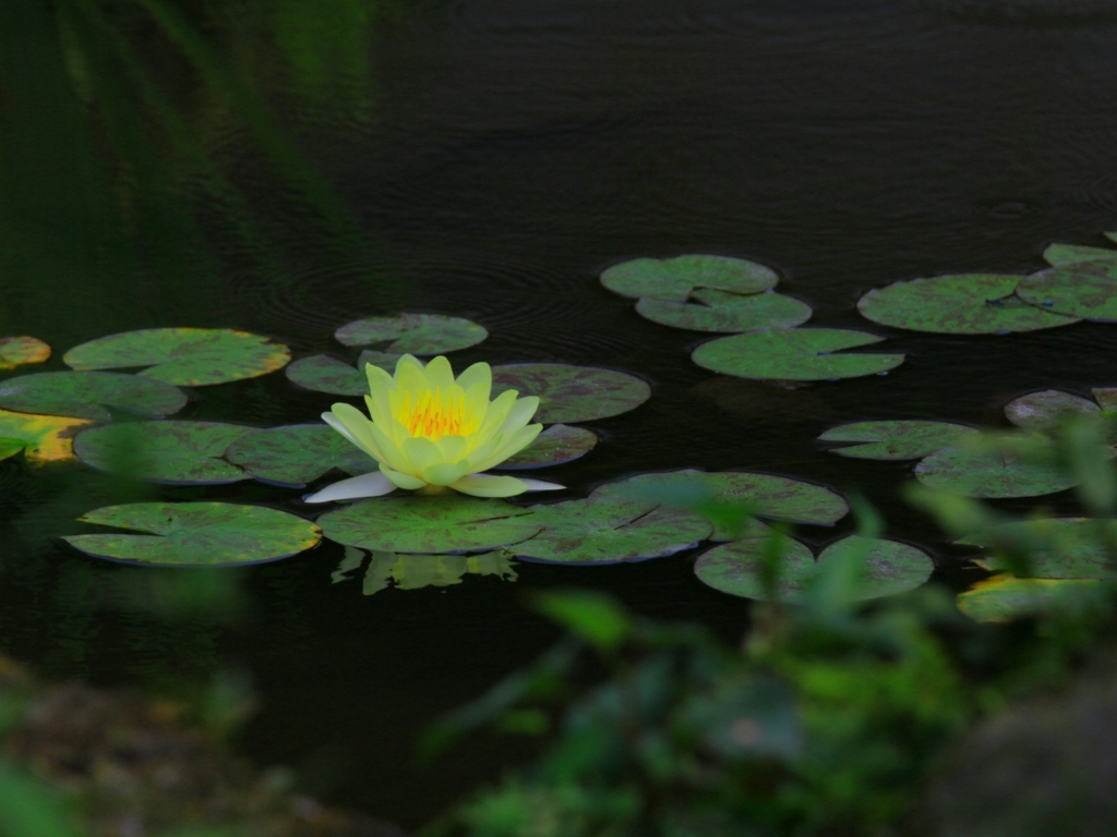 f:id:mhkj2:20180809121652j:plain f:id:mhkj2:20180809121652j:plain