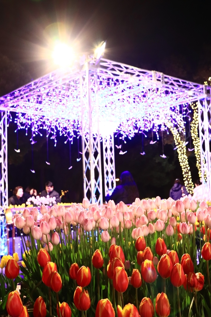 f:id:mhkj2:20190111214014j:plain f:id:mhkj2:20190111214014j:plain
