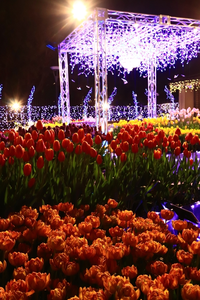 f:id:mhkj2:20190111214038j:plain f:id:mhkj2:20190111214038j:plain