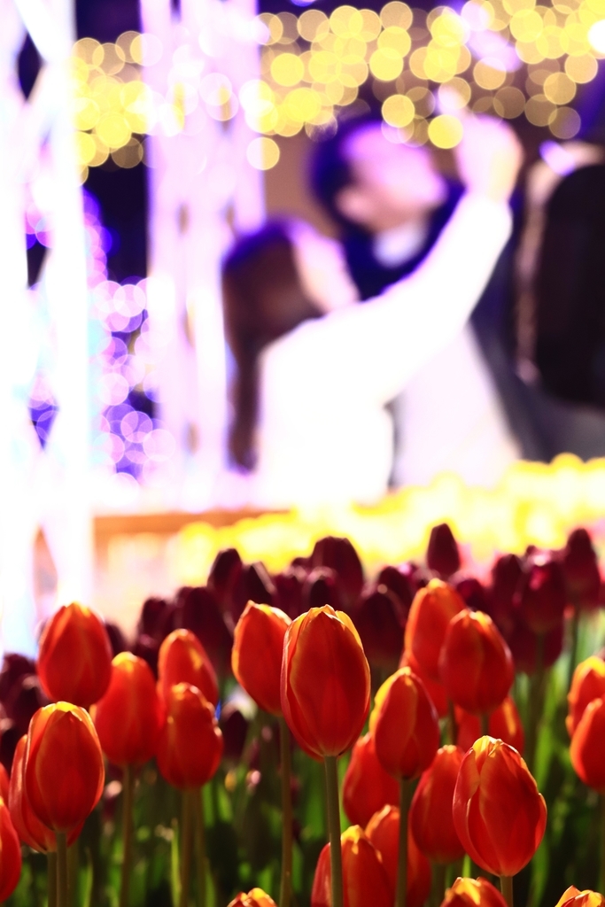 f:id:mhkj2:20190111215237j:plain f:id:mhkj2:20190111215237j:plain
