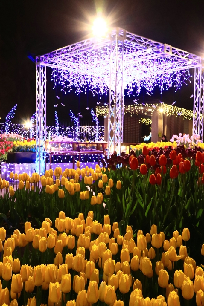f:id:mhkj2:20190112000014j:plain f:id:mhkj2:20190112000014j:plain