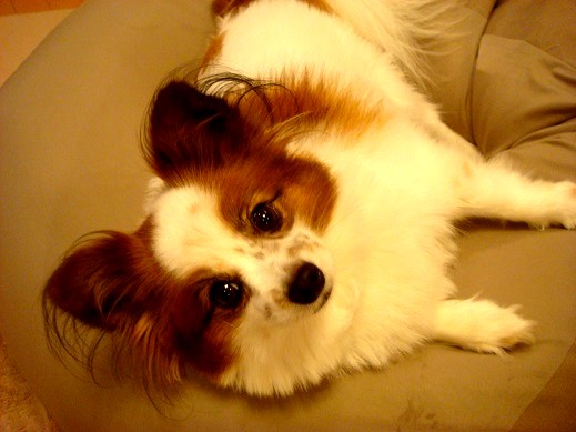 f:id:mhle:20130918204319j:image