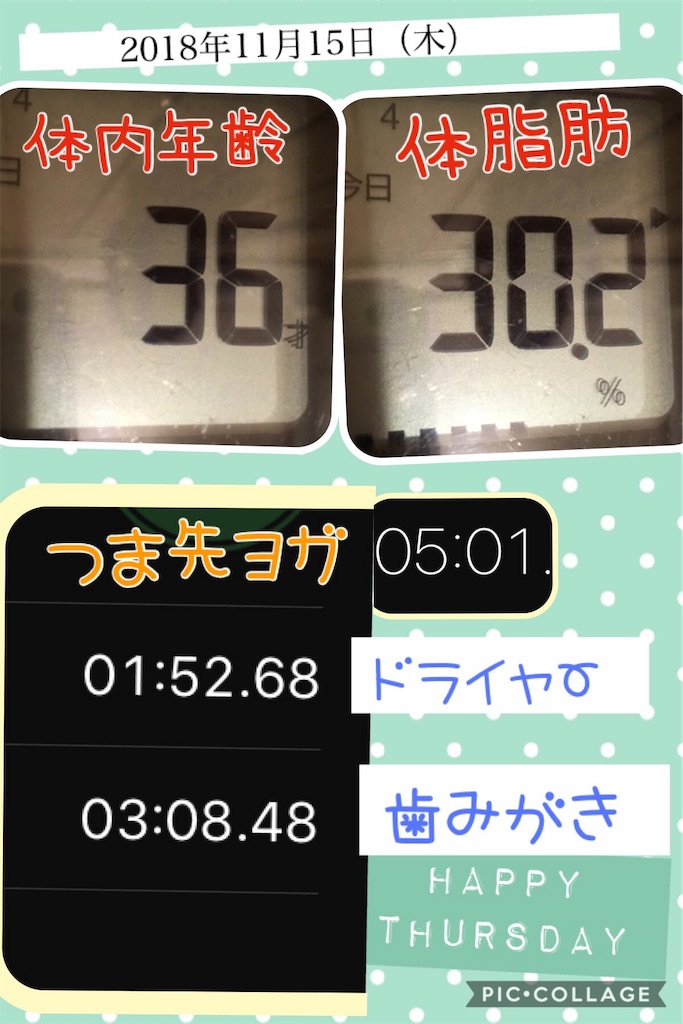 ダイエット つま先立ちでだけで痩せる 実験開始 1日目 まいか アラサー主婦 ぐだぐたブログ ダイエット つま先立ちでだけで痩せる 実験開始 1日目 まいか アラサー主婦 ぐだぐたブログ