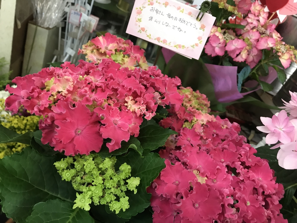 f:id:mhonoo:20190509213423j:plain