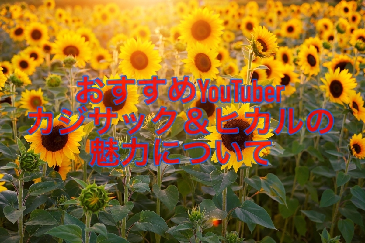 f:id:mhpone5s:20190816123641j:plain f:id:mhpone5s:20190816123641j:plain
