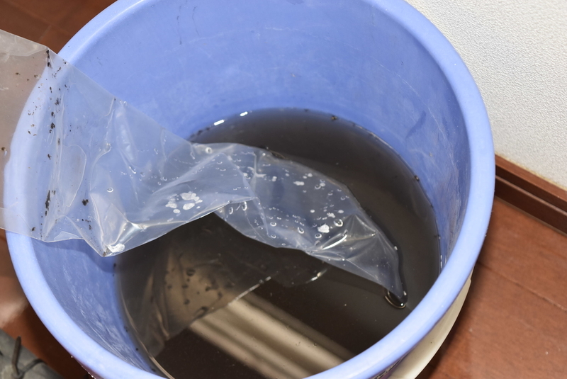 f:id:mhspltn:20200922114509j:plain