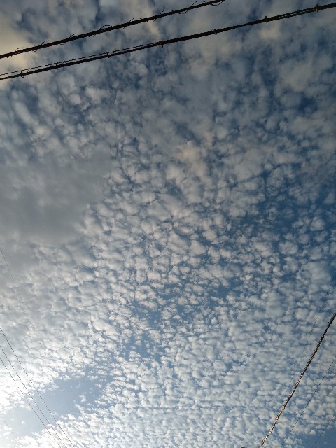 f:id:mhukuhukum:20210525062013j:image
