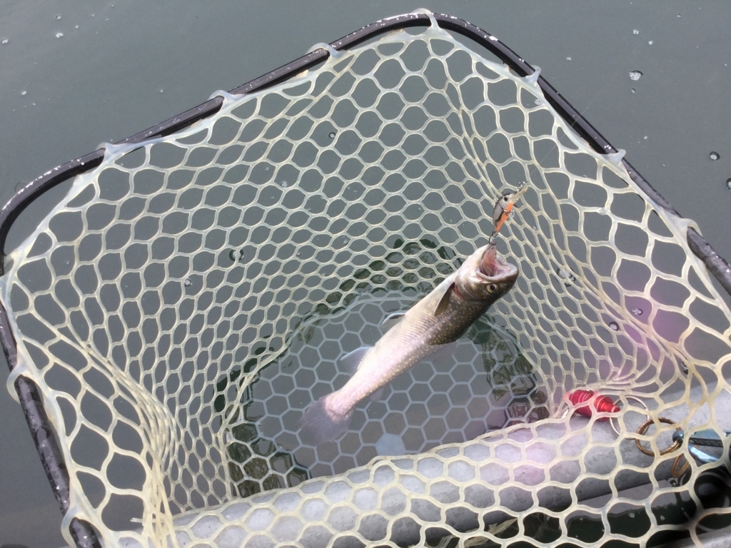 f:id:mi--yan:20180210172257j:plain