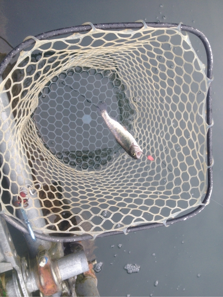 f:id:mi--yan:20180210172457j:plain