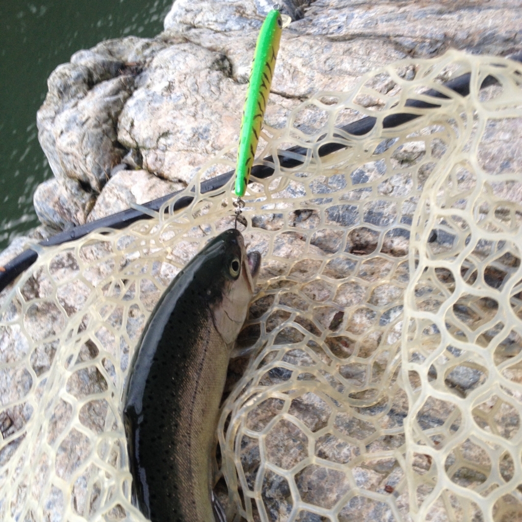 f:id:mi--yan:20180301190714j:plain