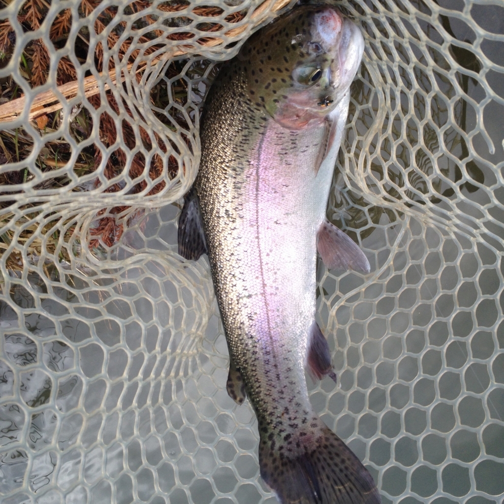 f:id:mi--yan:20180304152912j:plain