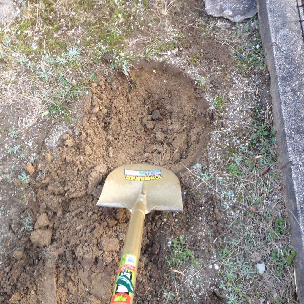 f:id:mi--yan:20180329063145j:plain