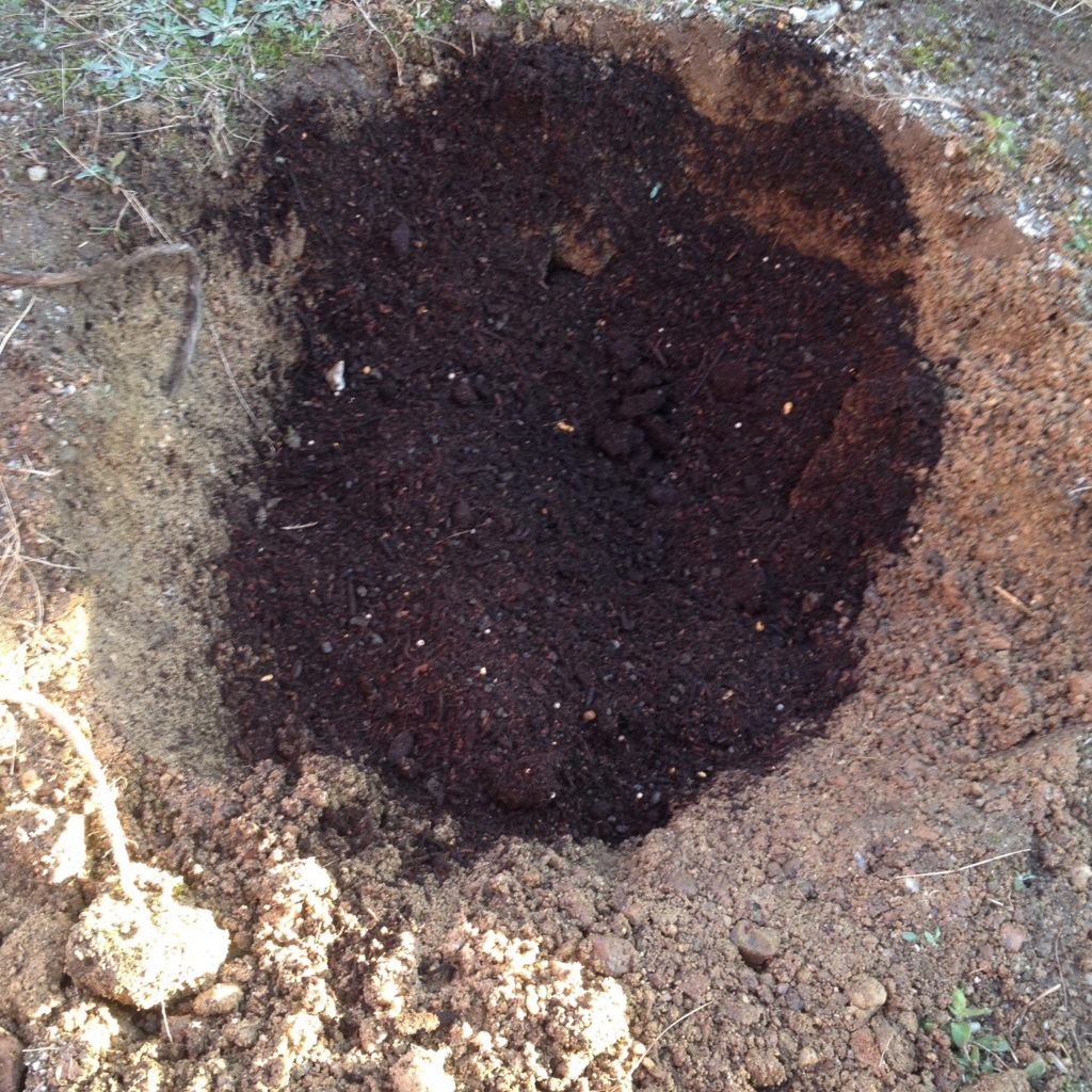 f:id:mi--yan:20180329063152j:plain