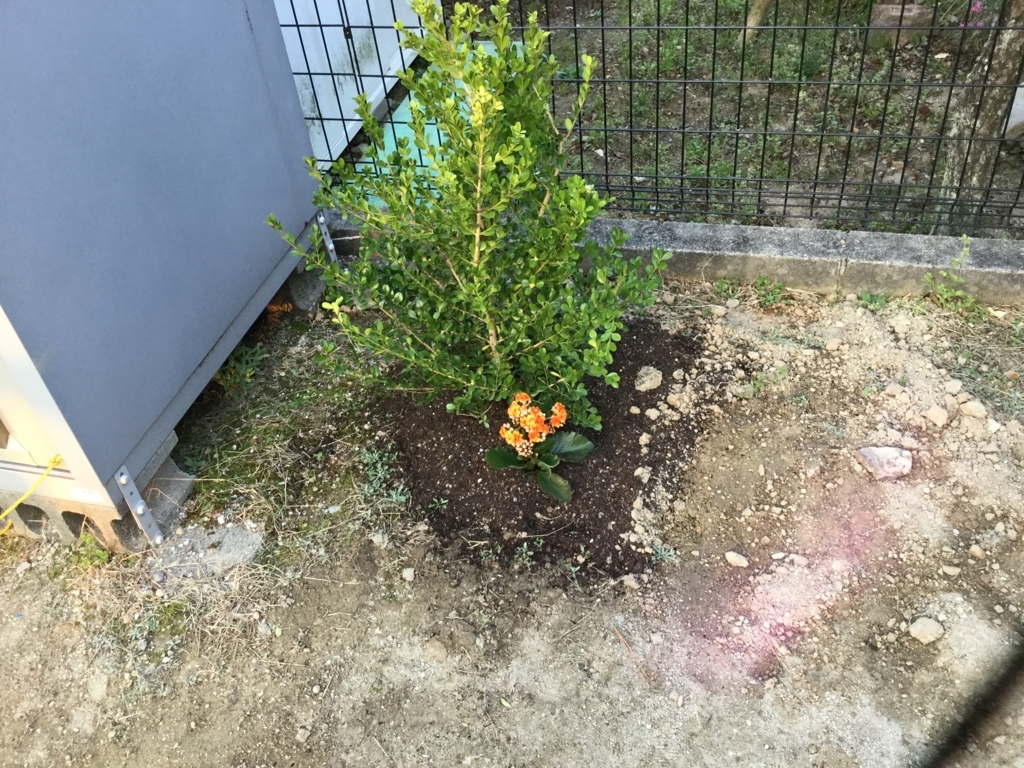 f:id:mi--yan:20180329063209j:plain