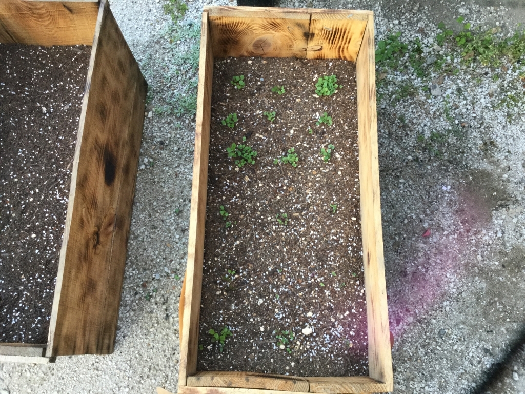 f:id:mi--yan:20180329064051j:plain