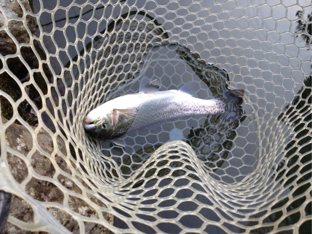 f:id:mi--yan:20180403222737j:plain