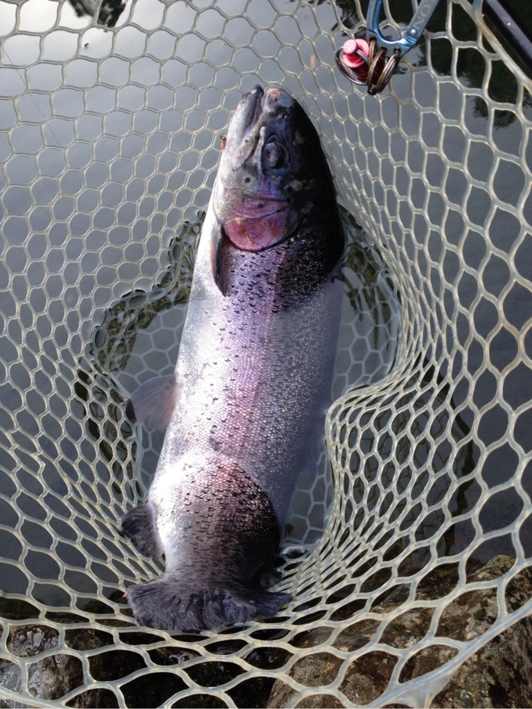 f:id:mi--yan:20180403222746j:plain