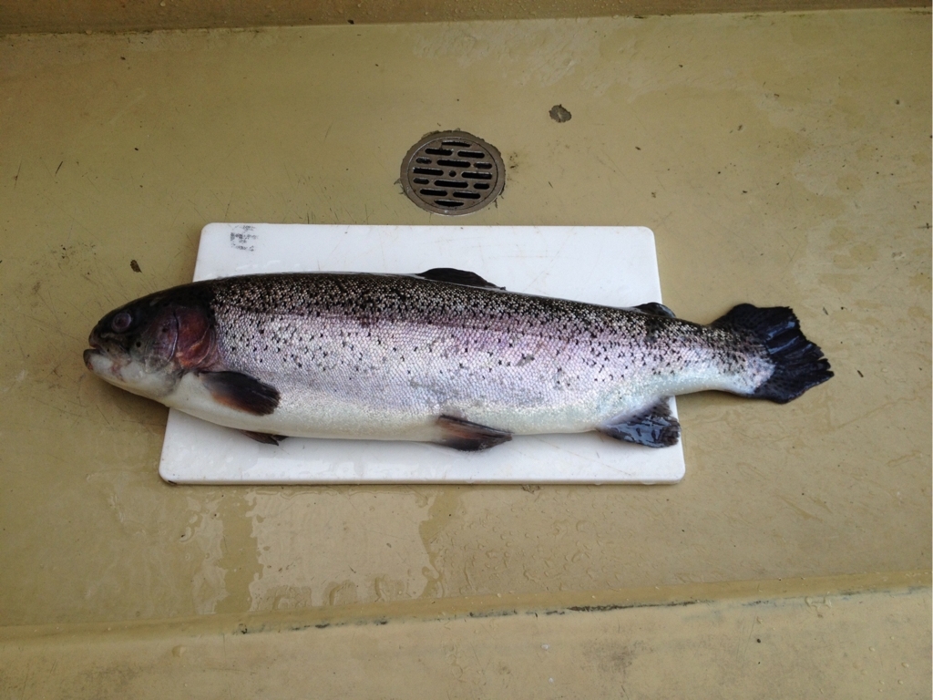 f:id:mi--yan:20180403222752j:plain