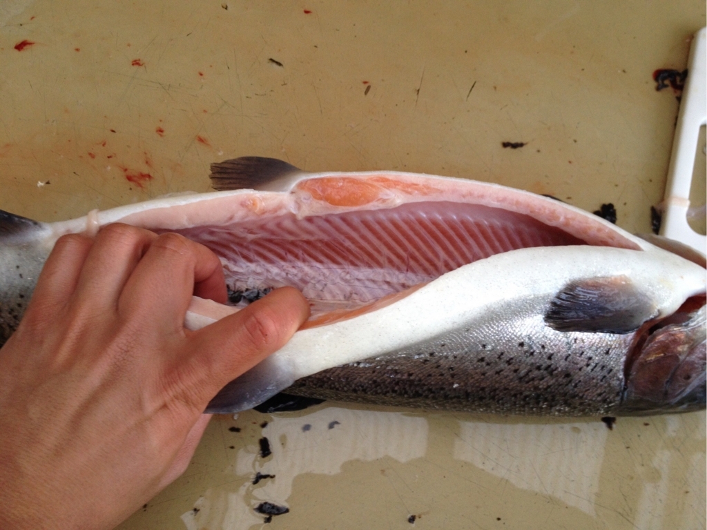 f:id:mi--yan:20180403222759j:plain