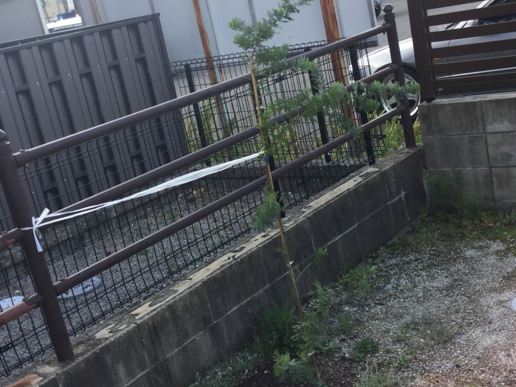 f:id:mi--yan:20180510142345j:plain