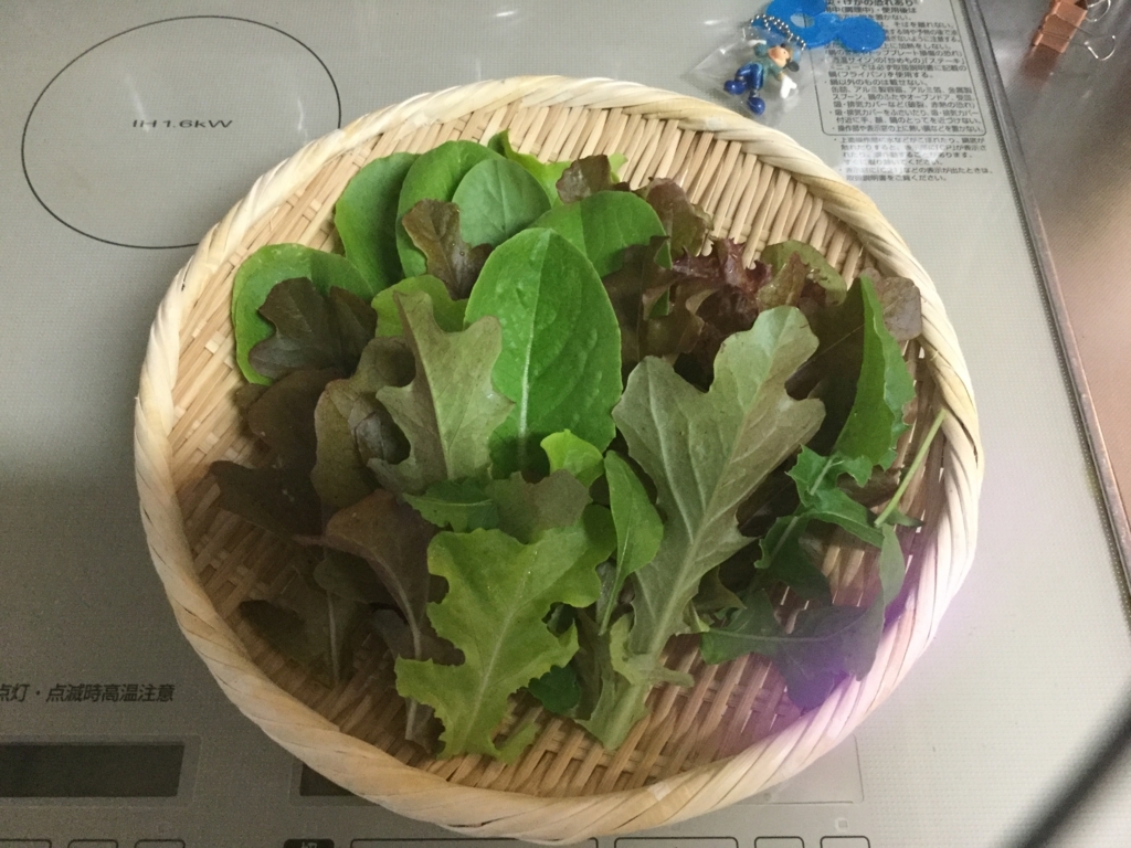 f:id:mi--yan:20180601180454j:plain