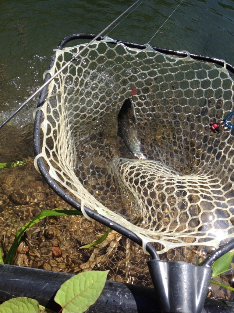 f:id:mi--yan:20180609144130j:plain f:id:mi--yan:20180609144130j:plain