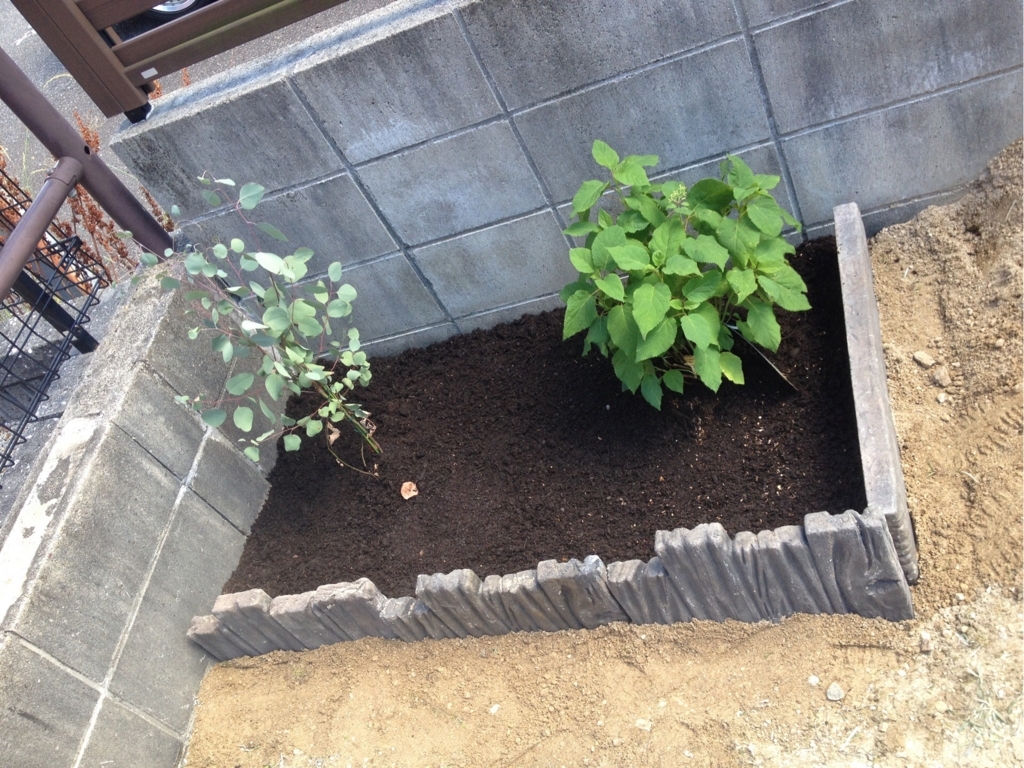 f:id:mi--yan:20180612172944j:plain