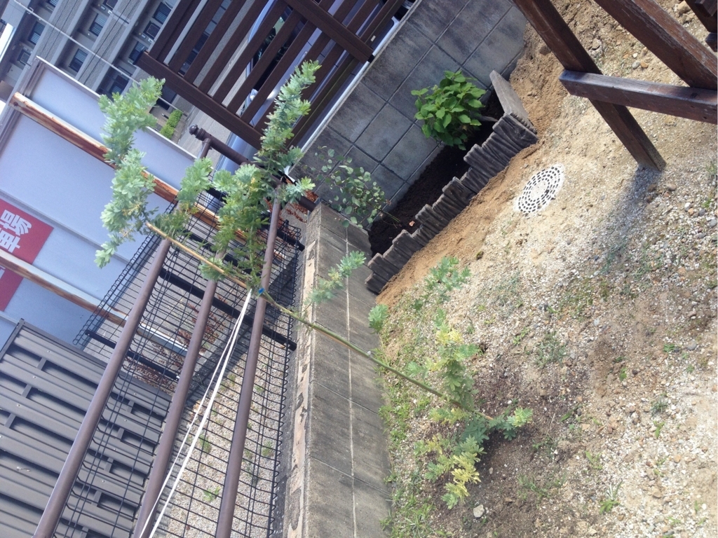 f:id:mi--yan:20180612173131j:plain