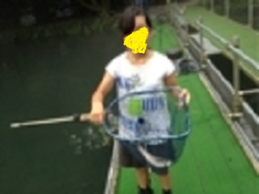 f:id:mi--yan:20180819165117j:plain f:id:mi--yan:20180819165117j:plain