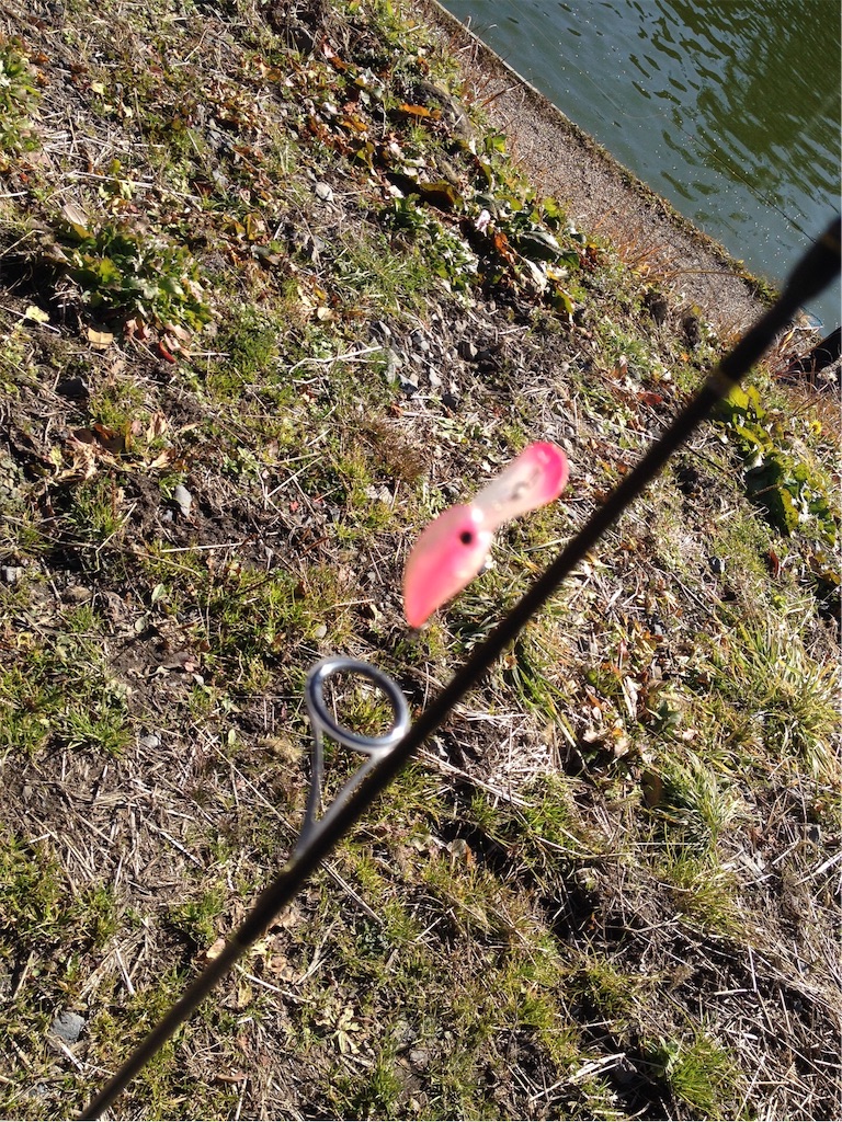 f:id:mi--yan:20181227194718j:image