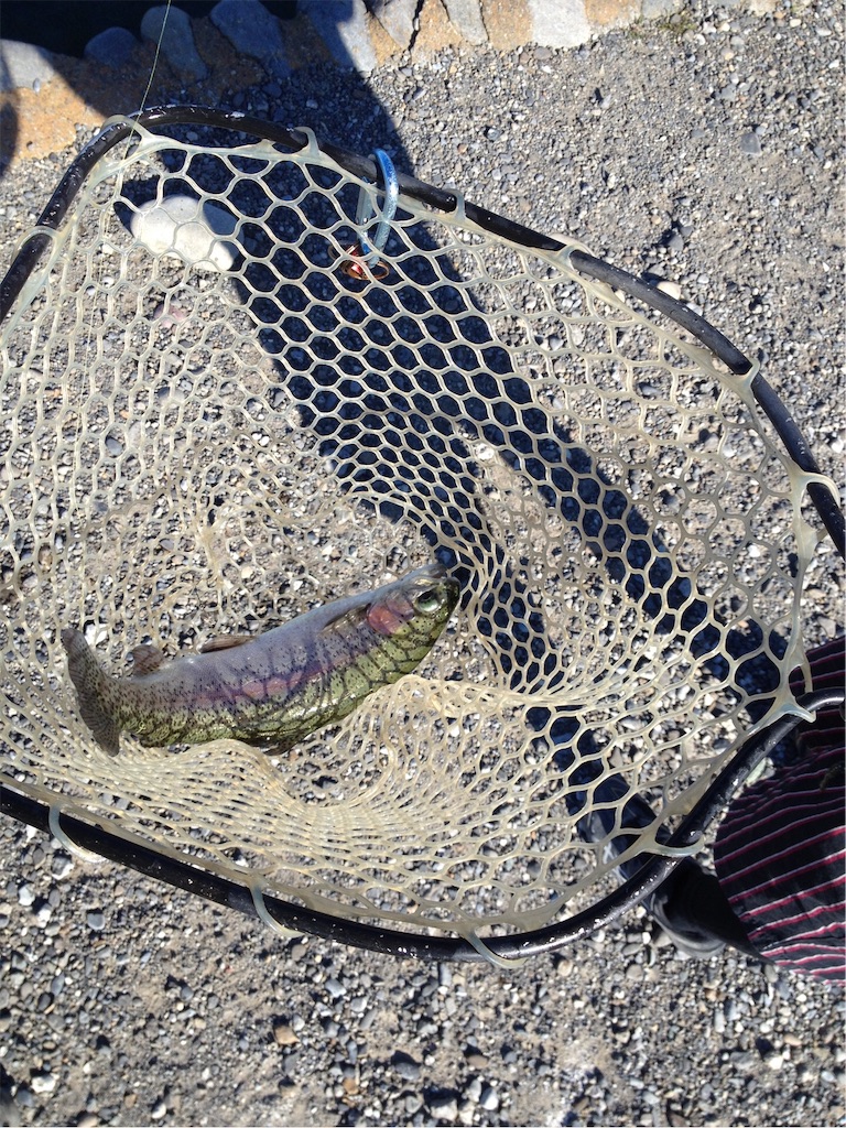 f:id:mi--yan:20190106114214j:image f:id:mi--yan:20190106114214j:image