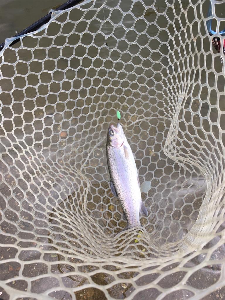 f:id:mi--yan:20190118150339j:image