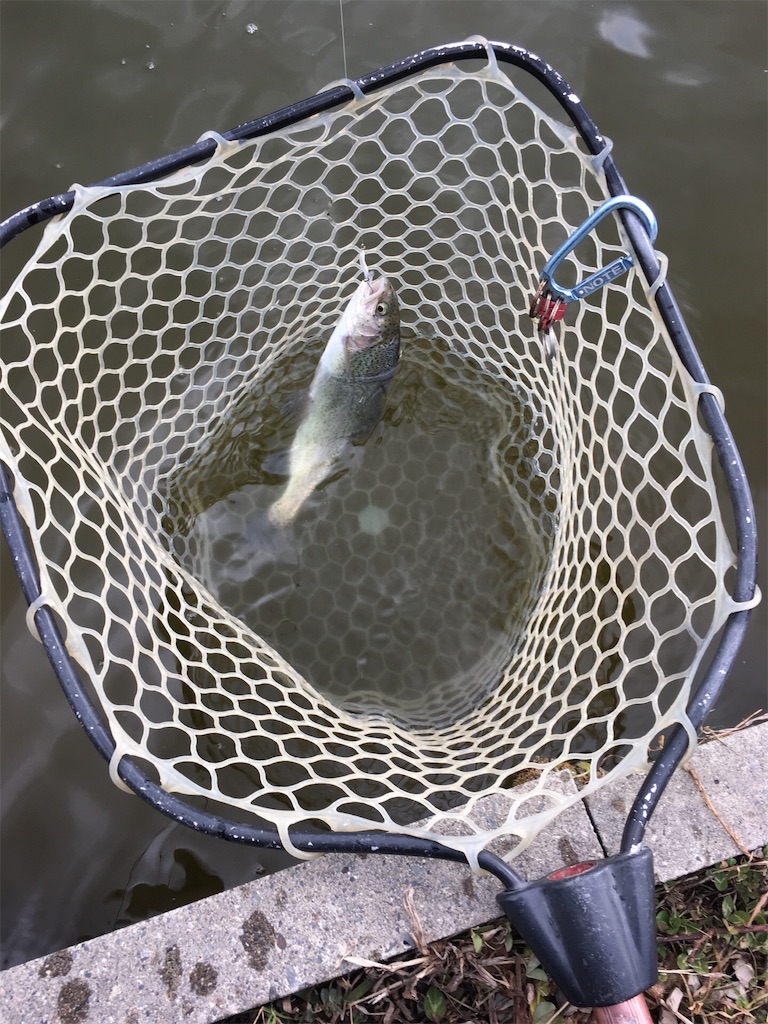 f:id:mi--yan:20190118150404j:image