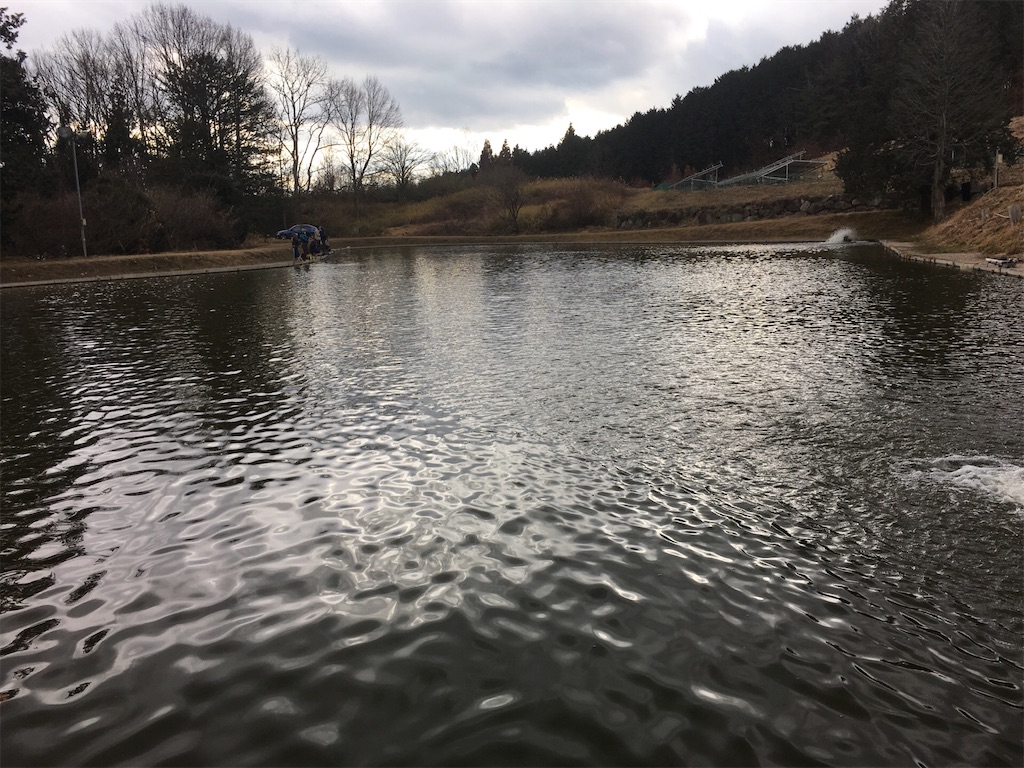 f:id:mi--yan:20190118150544j:image