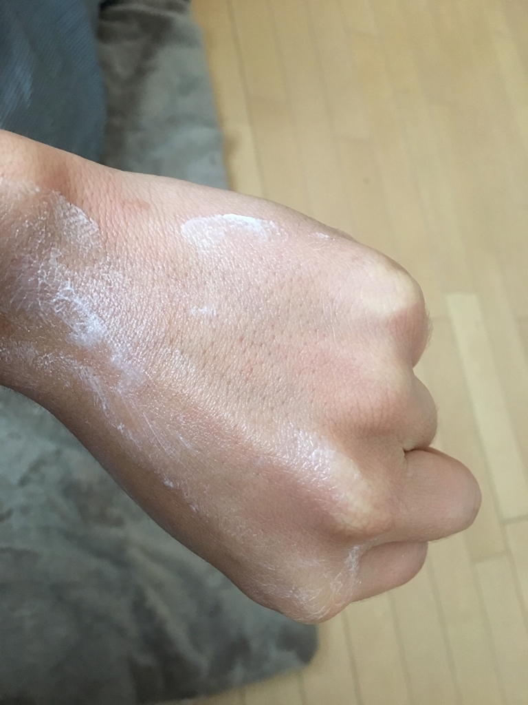 f:id:mi--yan:20190125151223j:plain