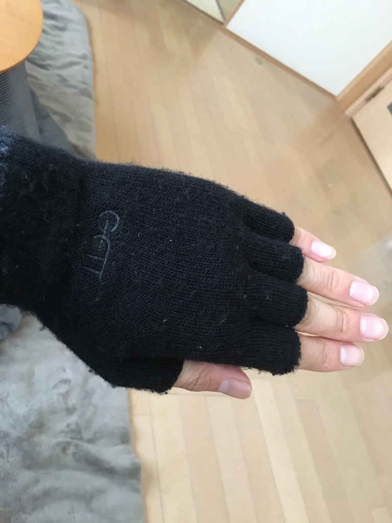f:id:mi--yan:20190125151308j:plain