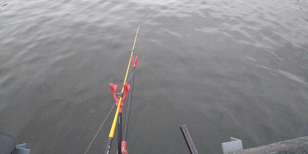 f:id:mi--yan:20190216141639j:plain f:id:mi--yan:20190216141639j:plain