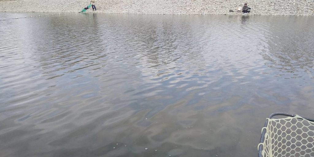 f:id:mi--yan:20190312210825j:plain f:id:mi--yan:20190312210825j:plain