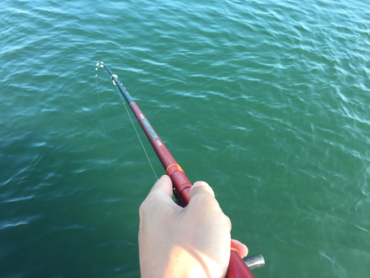 f:id:mi--yan:20190613144245j:plain